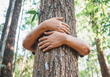 Sustainability Forum